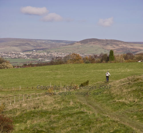 Werneth Low